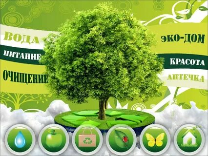 Эко здоровья