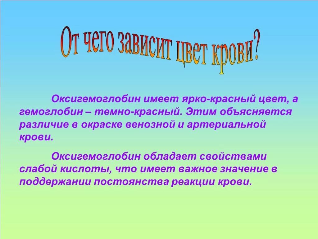 Оксигемоглобин. Оксигемоглобин цвет. оксигемоглобин это в биологии. оксигемоглобин строение.