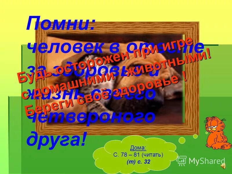 дерево посреди поля. постоялый двор во франции. хлебная скирда. калязин. скирда омёт копна.