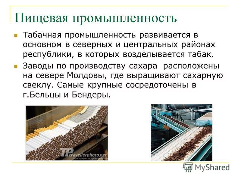 производство табака. сигареты. табачная промышленность пищевая. очень много сигарет. табак для самокруток производители.