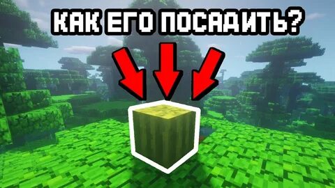 Как получить семена арбуза в майнкрафте