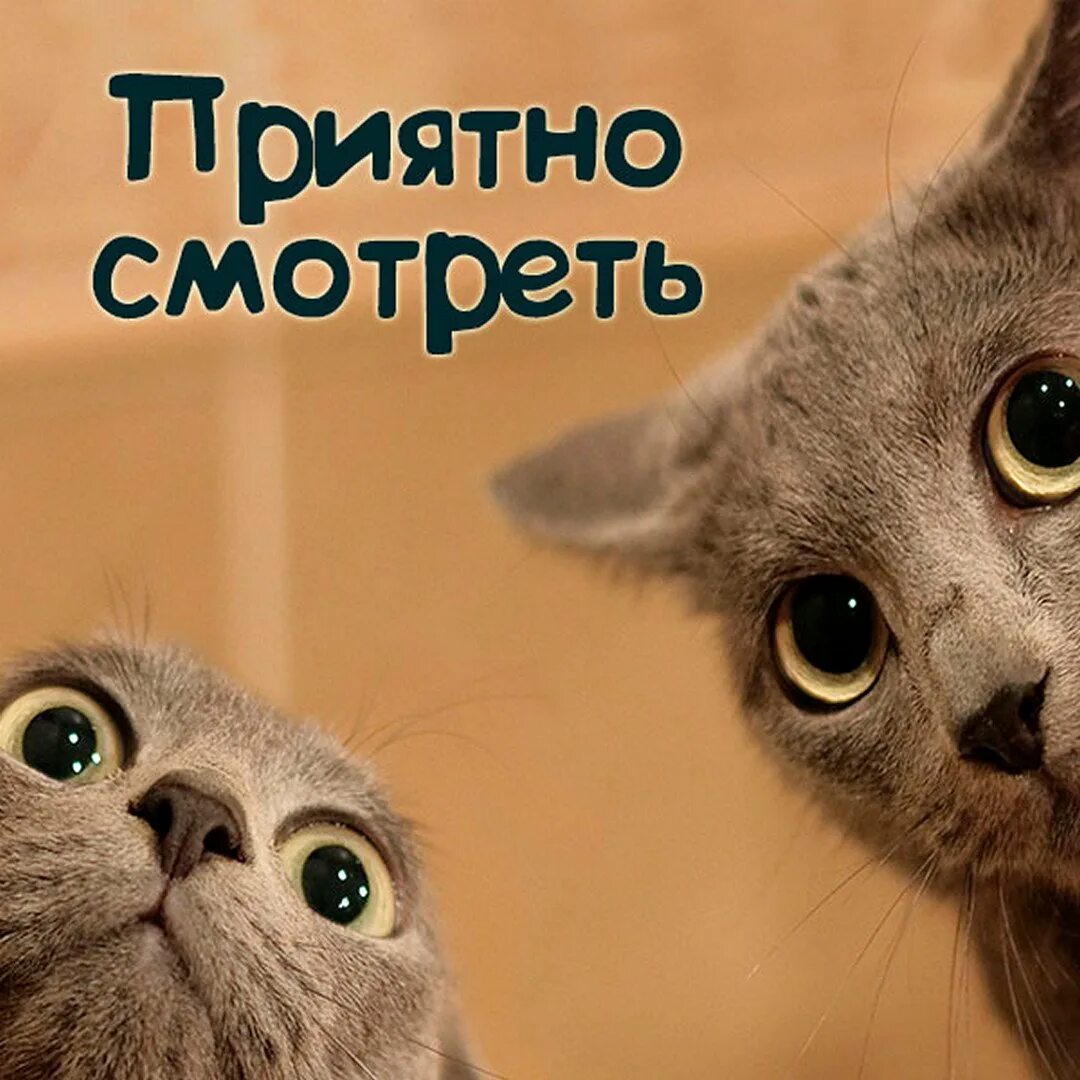 Очень хорошо картинки