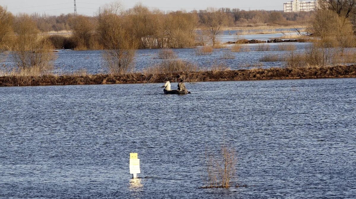 Уровень воды в реке воронеж. Бабяково Воронеж речка. Загрязнение реки Усманки Воронежская область. Усмань Воронеж река Веневитиново\. Загрязнение реки Усмань.