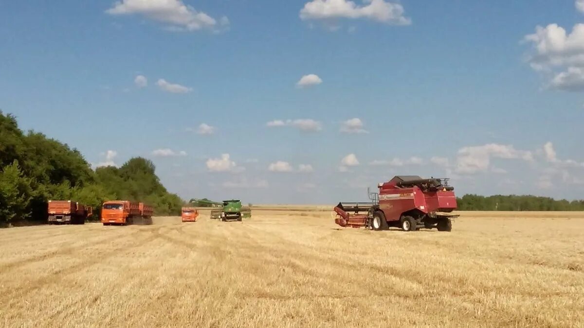Самарский агрохолдинг
