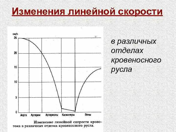 Линейное изменение скорости. Изменение скорости кровотока в сосудистом Русл. График изменения скорости кровотока. Изменение объемной скорости кровотока.