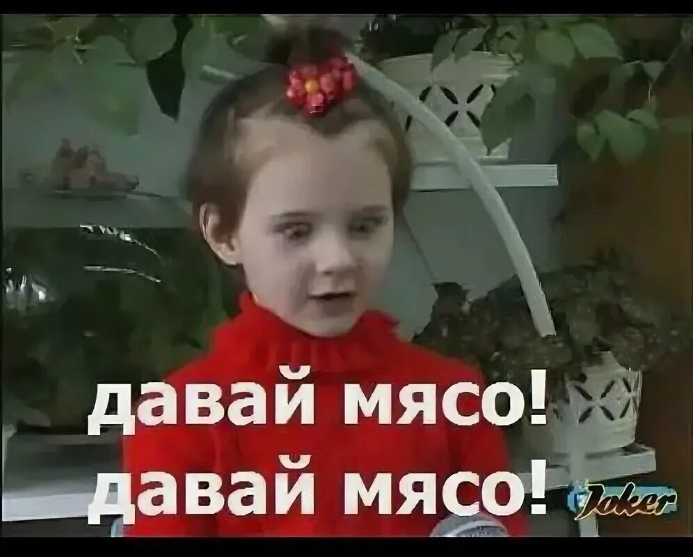 Давай мясо мем звук Кормить мясом иногородних смотреть онлайн короткое видео (shorts) от "СТОМАТО