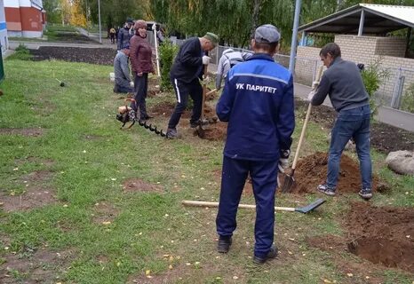 Посадили двадцать