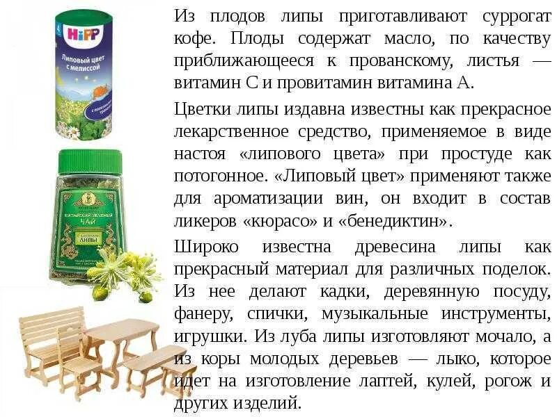 Процесс создания липы. Липа применение. использование липы. липа свойства и применение. липа применение человеком.