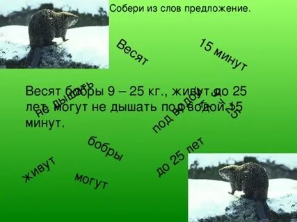 Предложение со словом дышится на тему вечер