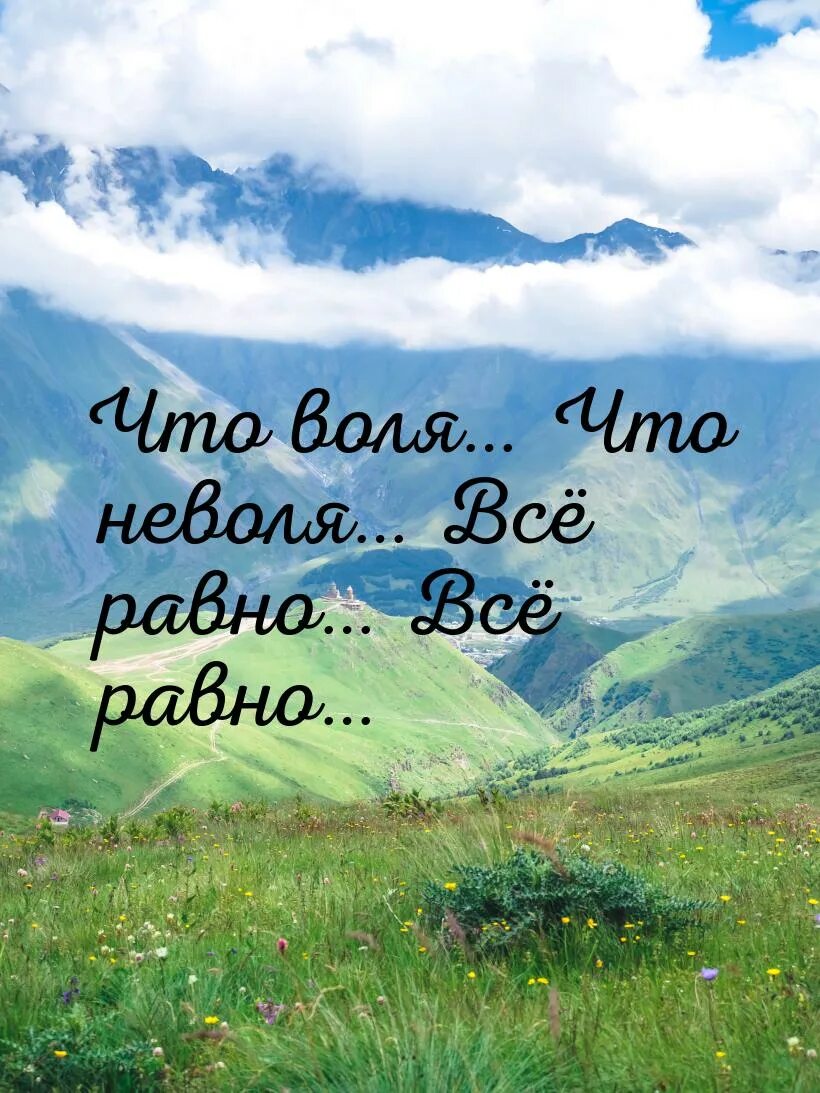 Не воля. Что воля что неволя все равно. что воля что неволя все равно прикольные картинки. чтовол,что невоя все равн. воля неволя цитаты.
