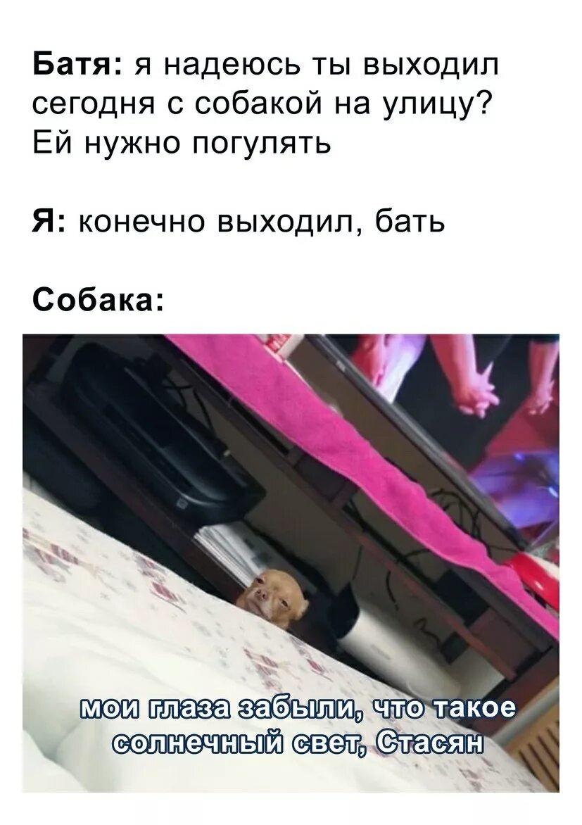 Погулять конечно. Я забыл что такое Солнечный свет Стасян. Наташа я забыла что такое Солнечный свет Мем. Приколы про Стасяна. Мои глаза забыли что такое Солнечный свет Наташа.