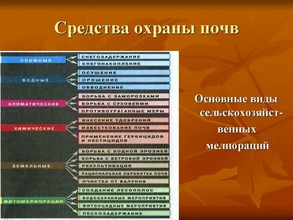 Укажите виды охраны