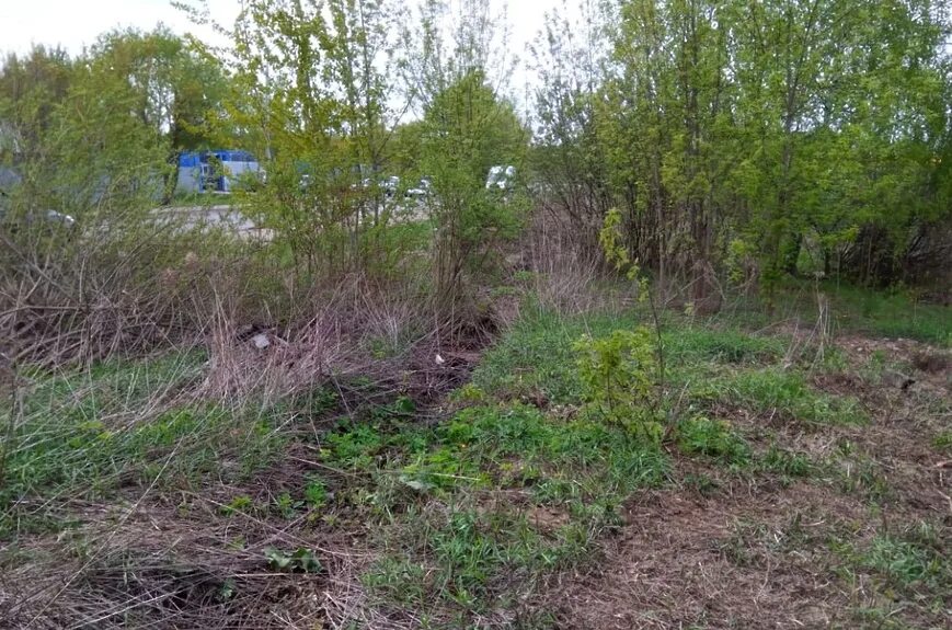 Снт ягодка кемерово. Председатель снт. Снесли снт. Снесли снт. Проект продолжения московского проспекта в набережных челнах.