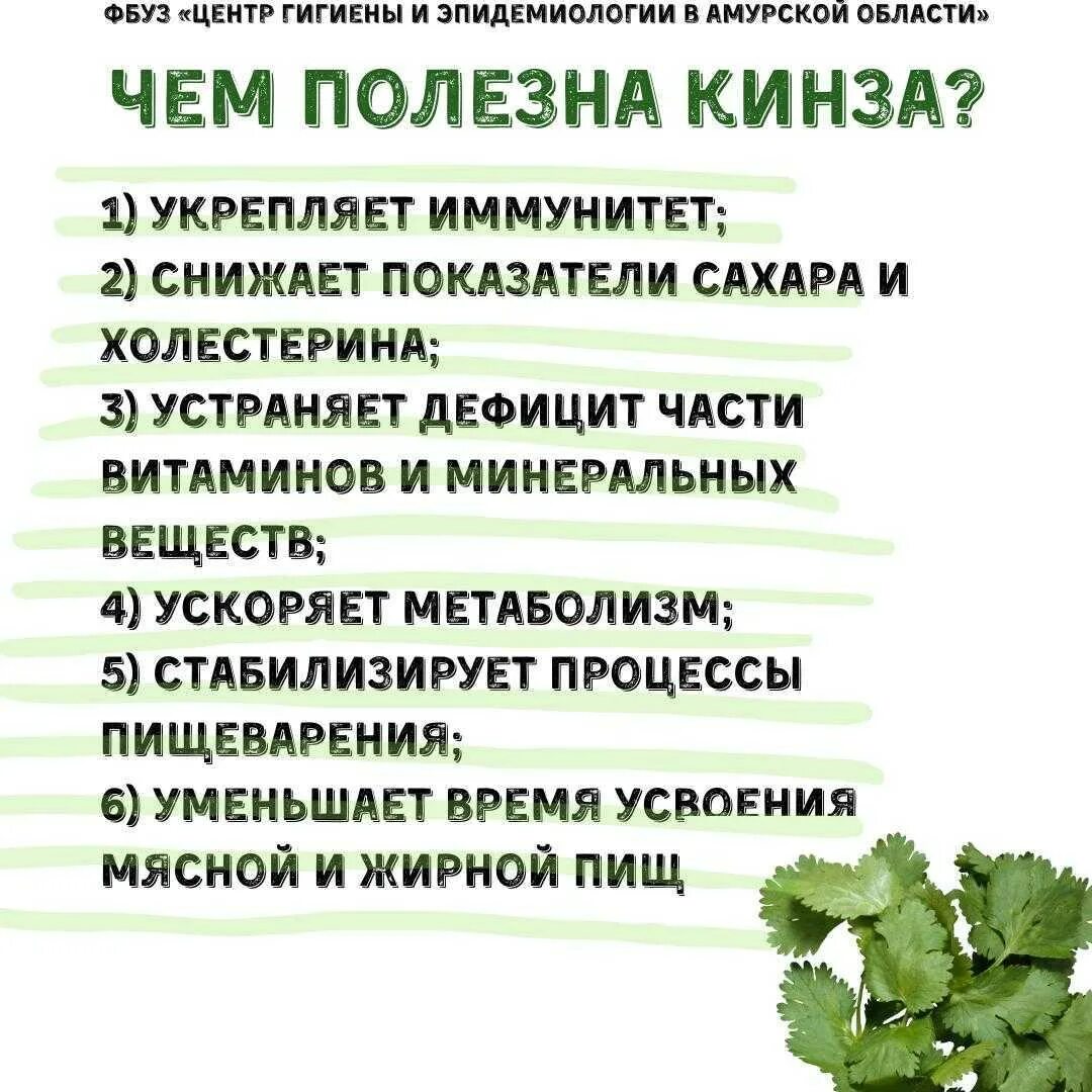 Фбуз центр гигиены и эпидемиологии в красноярске. Фбуз центр гигиены и эпидемиологии. фбуз “центр гигиены и эпидемиологии в рт”. фбуз центр гигиены и эпидемиологии в приморском крае.