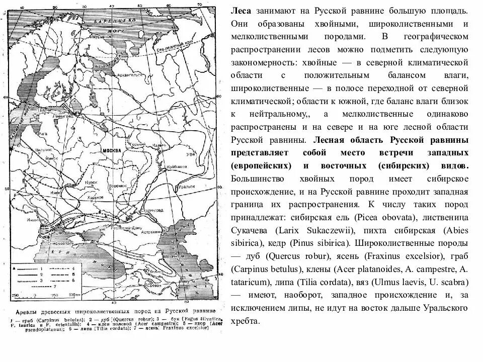 Характер русской равнины. Провинции русской равнины. физическая карта восточно-европейской равнины. схема русской равнины. характеристика русской равнины.