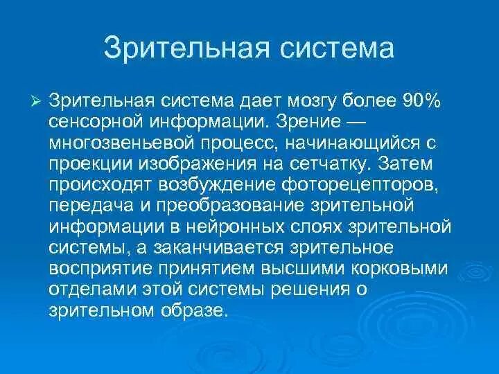 Система гп. Заключение о зрительной системе. визуальная система основана.