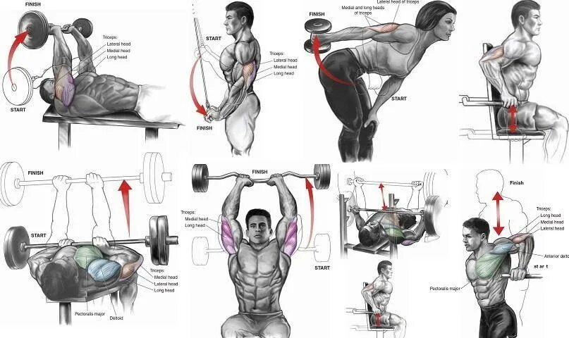 Упражнения на трицепс в тренажерном зале для мужчин. Упражнения для мышц трицепса для мужчин в тренажерном зале. Как прокачать трицепс в тренажерном зале для мужчин. Упражнения для прокачки трицепса в тренажерном зале.