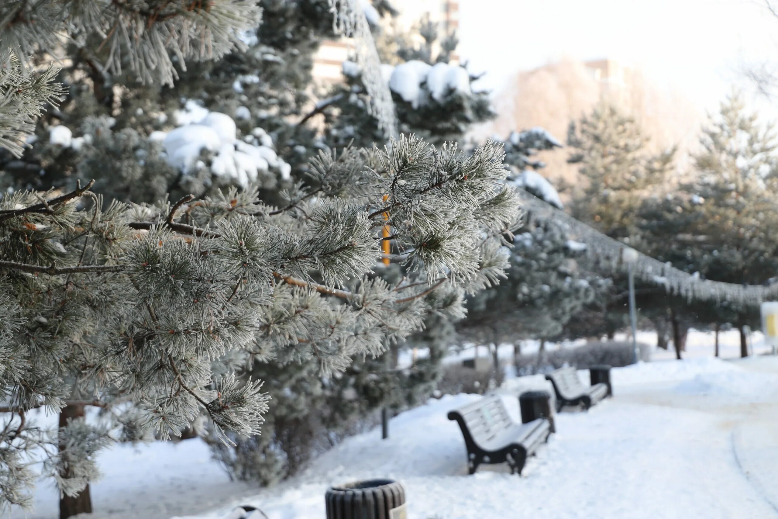 Люди в городе зимой. Москва январь зима. Холодный январь в москве. Снег в москве. Холодный январь в москве.