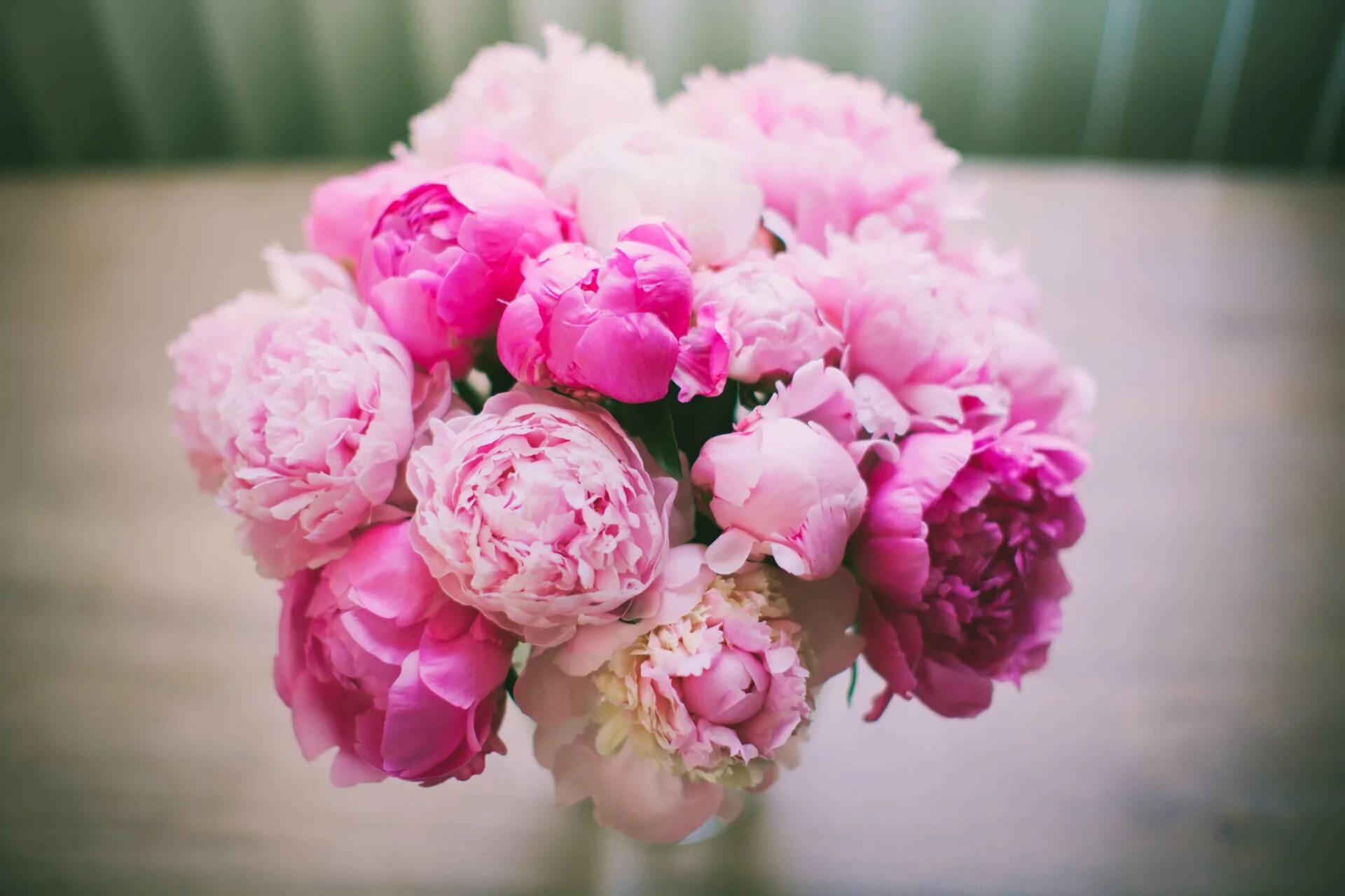 Обои на телефон красивые пионы. Розоподобные пионы. пиони пинк (peony pink). букет с пионами. пион пинк диамонд.