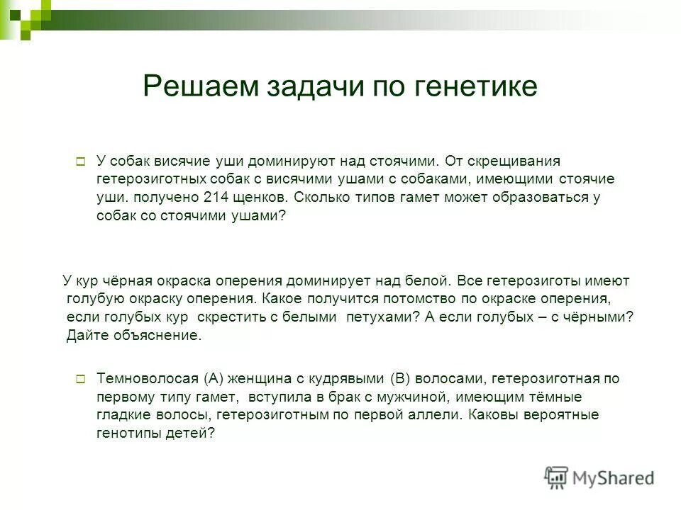 у собак висячее ухо доминирует над стоячим. задачи по генетике про уши собак. задачи по генетике человека. чёрная окраска шерсти и висячее ухо. задачи по биологии ухо висячее.