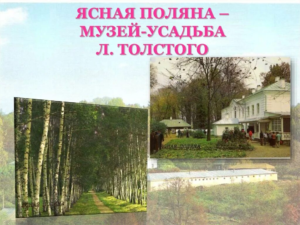 Поляне сообщение