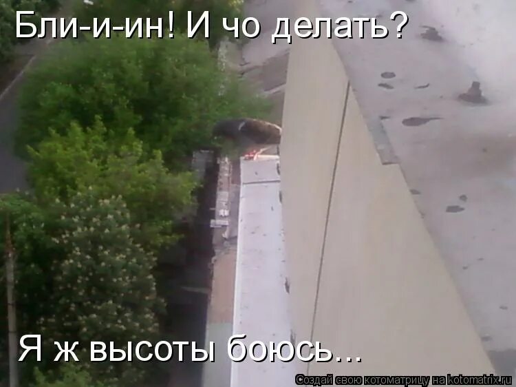 Высота. Страх высоты. Стал боятся высоты. Страх высоты. Страх высоты.