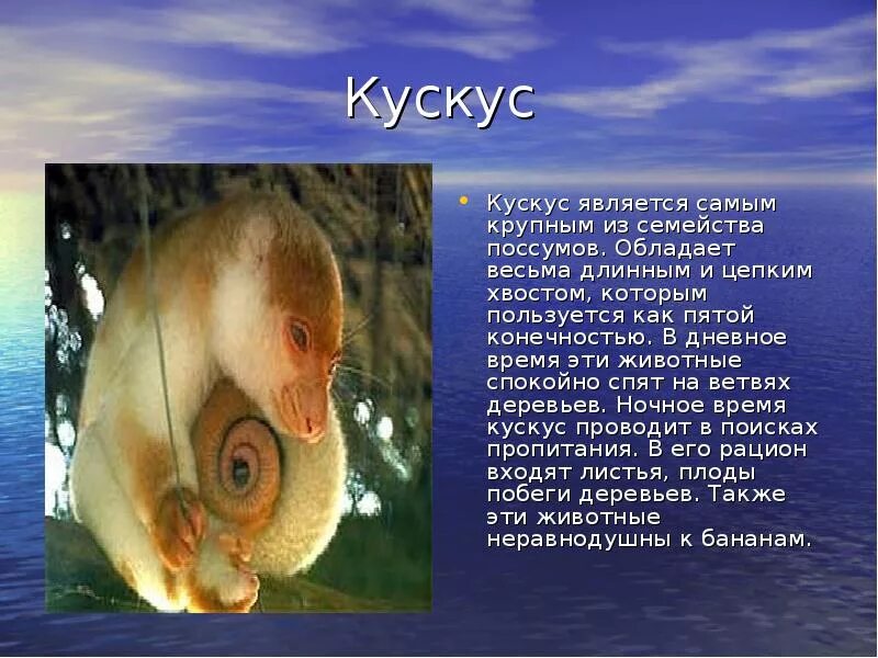 Необычное животное описание. Удивительные животные россии презентация. Необычные животные с описанием. Необычные животные с описанием. Рассказ про необычное животное.