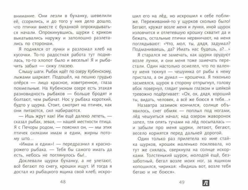 Озеро читать краткое содержание. Васюткино озеро читать. васюткино озеро краткое содержание. краткий пересказ васюткино озеро. васюткино озеро астафьев читать.