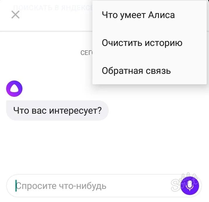 Алиса умеет звонить на телефон. Что можно задать Алисе. Что можно спросить у Алисы. Чего нельзя спрашивать у Алисы. Что нельзя спрашивать у Алисы.