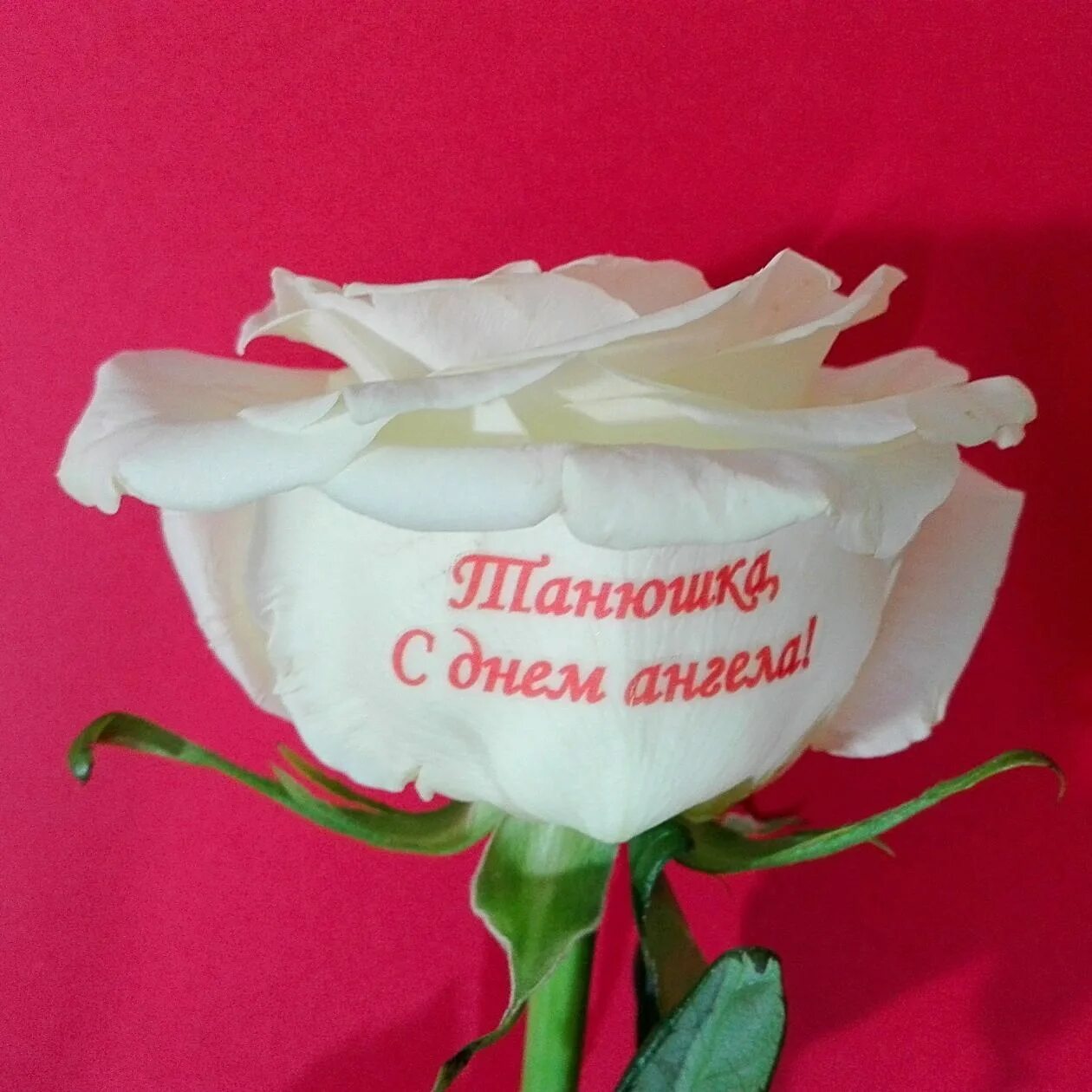 Подарок на татьянин день. Подарок татьяне. Подарок татьяне. Красивый подарок для татьяны. Подарок татьяне.