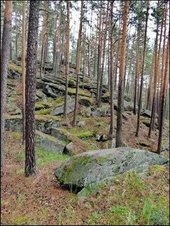Поселение каменное