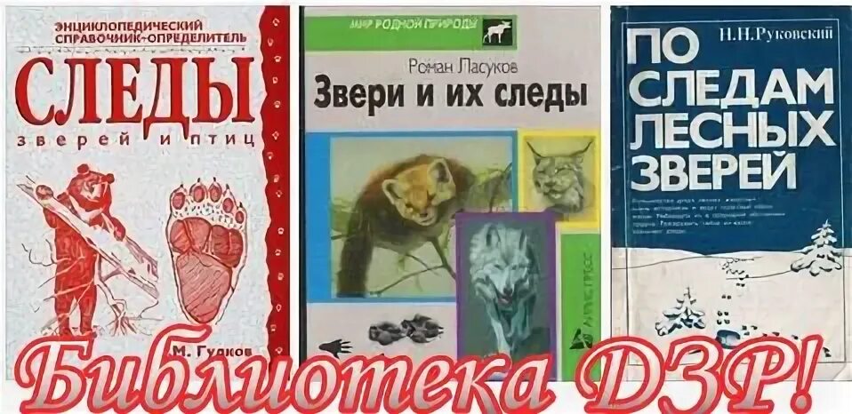 Книга след зверя. Книга а следы животных. руковский - по следам лесных зверей. книги про следы животных для детей. следы зверей и птиц книга.