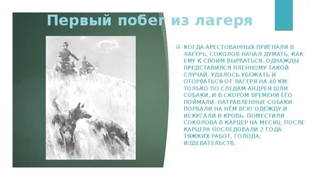 Первый побег соколова судьба. Судьба человека первый побег. Судьба человека побег из лагеря. Судьба человека первый побег из плена. Как Соколову удалось сбежать.