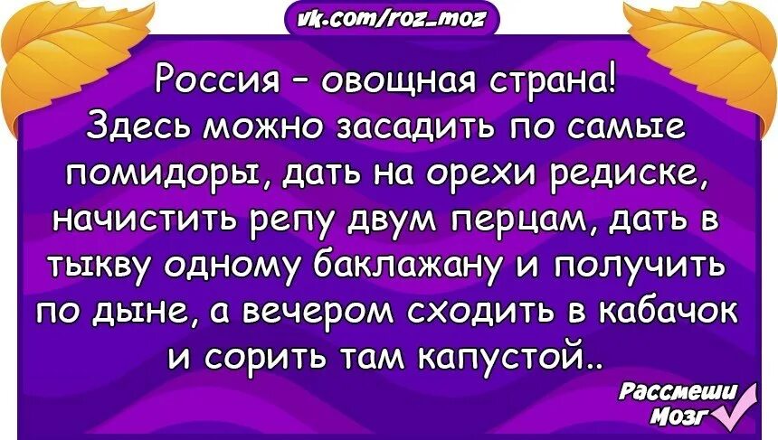 Шутку хочу сказать. Рассмеши мозг анекдоты в картинках. Рассмеши мозг. Рассмеши жену. Рассмеши мозг а ещё что.