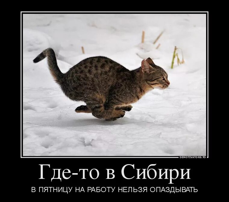 Где то 11