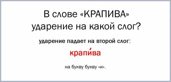 Крапива какое слово