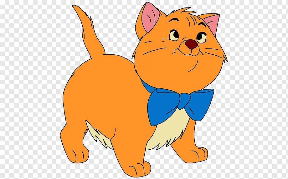Big small the cat is
