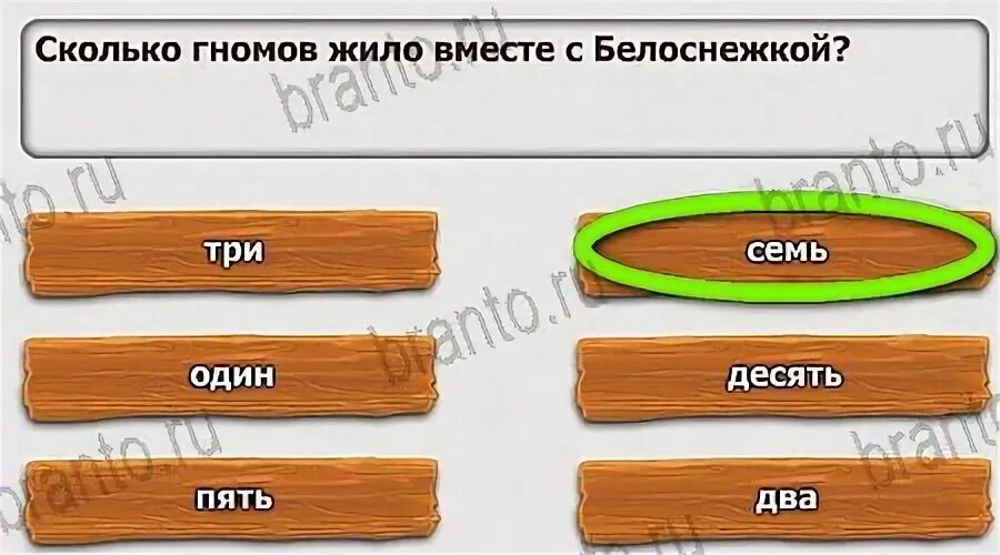 Кот 6 уровень. Кот 6 уровень
