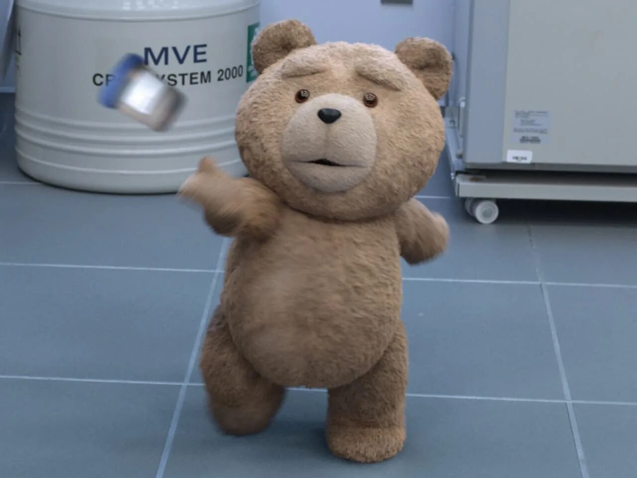 Говорящий медведь 1. Третий лишний Ted. Третий лишний 2. Медвежонок пуки.