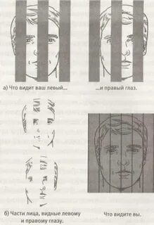 Почему левая слабее правой