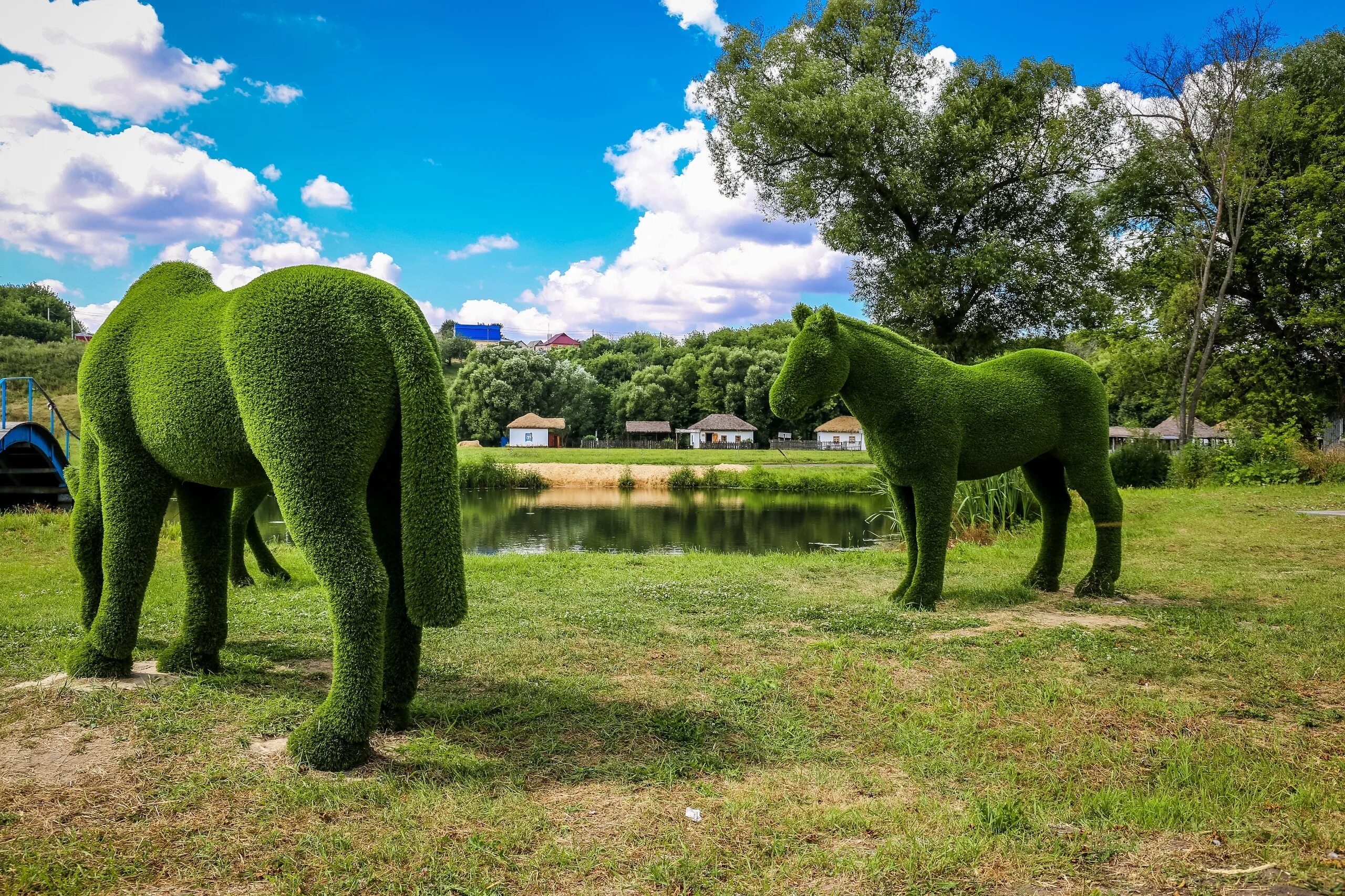 Усадьба сенявиных конь-колодезь. Липецкая область кони. Усадьба сенявиных конь-колодезь. Пиянзов андрей алексеевич конезавод. Новосибирская область кони.
