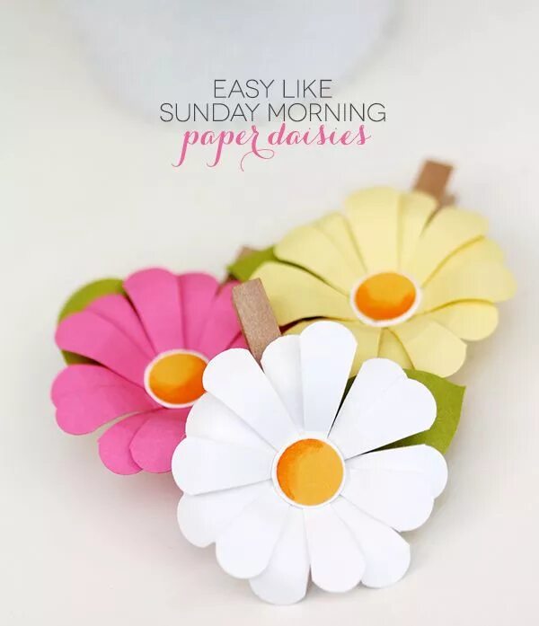 Easy like go. Paper Daisy. Paper Daisy Flower.