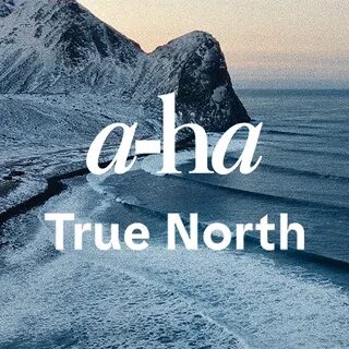 True north