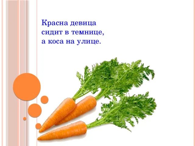 Загадка сидит девица. Сидит девица в темнице а коса. красная девица сидит в темнице. красная девица сидит в темнице а коса на улице ответ. загадка красная девица сидит в темнице а коса на улице.