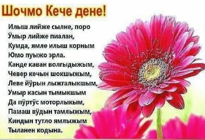 8 март дене саламлымаш марла. Шочмо кечет дене саламлена слова. Шочмо кечет дене саламлымаш открытка. Шочмо кече дене открытка. Шочмо кечет дене.