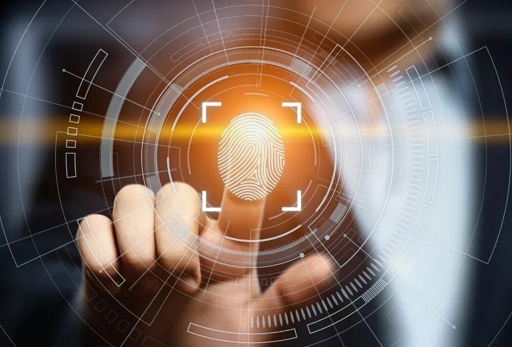 Биометрической аутентификации лицо и палец. Биометрические данные. Биометрическая идентификация. Биометрическая идентификация. Помощь в идентификации.