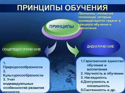 Функциональный принцип обучения