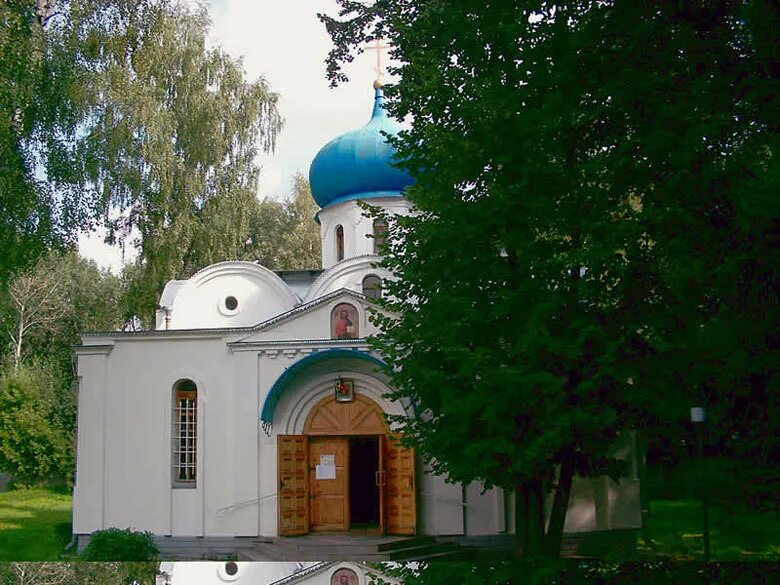 Новомосковск храм Успения Пресвятой Богородицы. Свято-Успенский монастырь (Новомосковск). Новомосковск Успенский мужской монастырь. Успенский монастырь в Новомосковске Тульской области. Успенский монастырь новомосковск