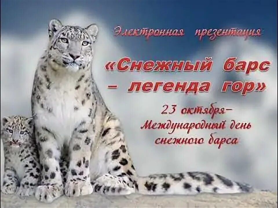 Плакат на тему сохранение снежного барса. Снежный барс титул. международный день снежного барса. открытки с днём снежного барса.