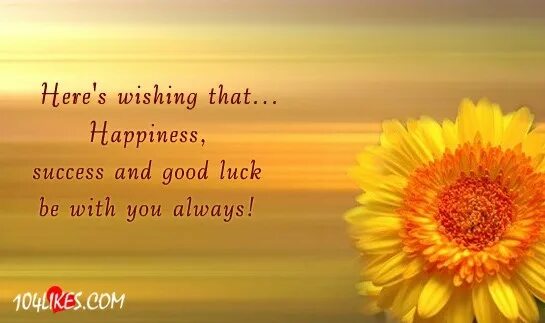 Wish you success. I Wish you Health and success. I Wish you Happiness картинки. Good luck and Happiness. Wish you открытки.